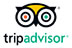 TripAdvisor Reviews